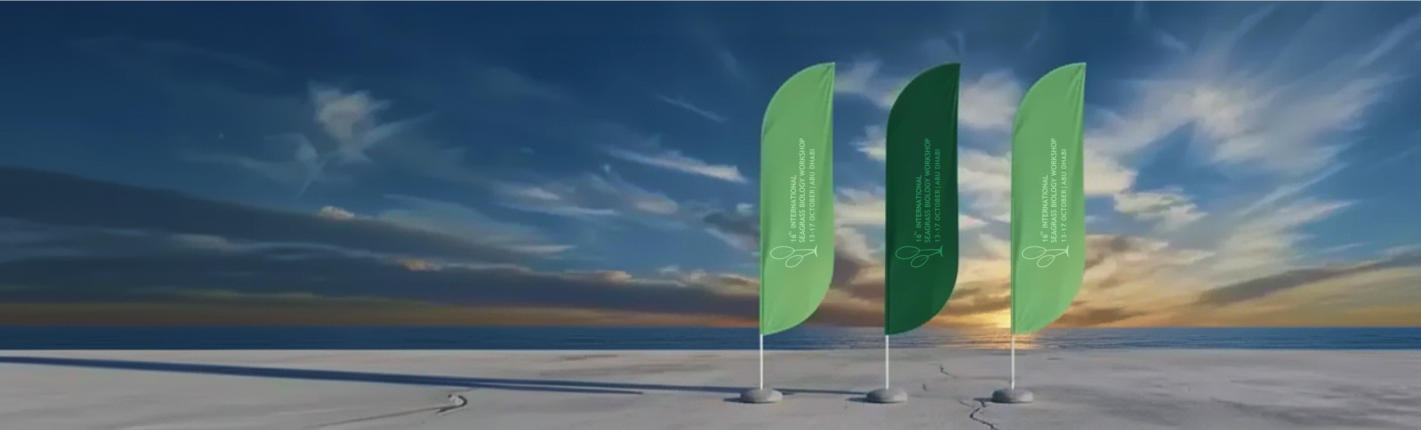 Partners & Sponsors